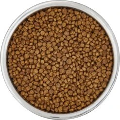 Frisco Insulated Non-Skid Flair Stainless Steel Dog & Cat Bowl -Frisco Sales Store 261753 PT4. AC SS1800 V1623937583