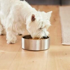 Frisco Insulated Non-Skid Flair Stainless Steel Dog & Cat Bowl -Frisco Sales Store 261753 PT5. AC SS1800 V1623937469