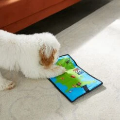 Frisco Road Trip Foldable Map Flat Plush Squeaky Dog Toy 9 Frisco Road Trip Foldable Map Flat Plush Squeaky Dog Toy -Frisco Sales Store 261998 PT4. AC SS1800 V1619791937
