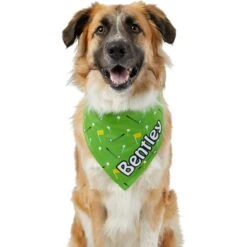 Frisco Golf Personalized Dog & Cat Bandana 15 Frisco Golf Personalized Dog & Cat Bandana -Frisco Sales Store 263017 PT6. AC SS1800 V1619557636