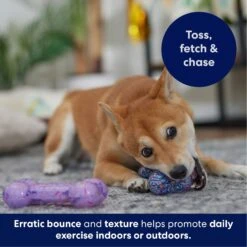 Frisco Birthday TPR Fetch Bone Squeaky Dog Toy 10 Frisco Birthday TPR Fetch Bone Squeaky Dog Toy -Frisco Sales Store 264422 PT4. AC SS1800 V1695760988