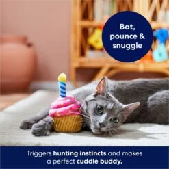 Frisco Birthday Cupcake Plush Cat Toy With Refillable Catnip -Frisco Sales Store 264456 PT5. AC SS1800 V1691785246