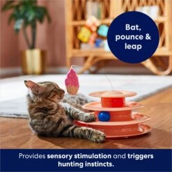 Frisco Birthday Cat Tracks Cat Toy 10 Frisco Birthday Cat Tracks Cat Toy -Frisco Sales Store 264460 PT5. AC SS1800 V1691785246