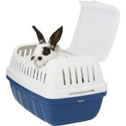 Frisco Top Entry Two-Toned Small Pet Carrier -Frisco Sales Store 264931 PT2. AC SS1800 V1617739934
