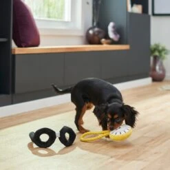 Frisco Magic Pocket Watch & Glasses Plush Squeaky Dog Toy, 2 Count -Frisco Sales Store 265590 PT3. AC SS1800 V1620938935