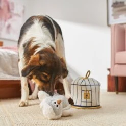 Frisco Magic Owl & Cage 2-in-1 Plush Squeaky Dog Toy -Frisco Sales Store 265592 PT3. AC SS1800 V1620938916