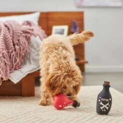 Frisco Magic Potions Latex Squeaky Dog Toy, 2 Count -Frisco Sales Store 265632 PT3. AC SS1800 V1620939021