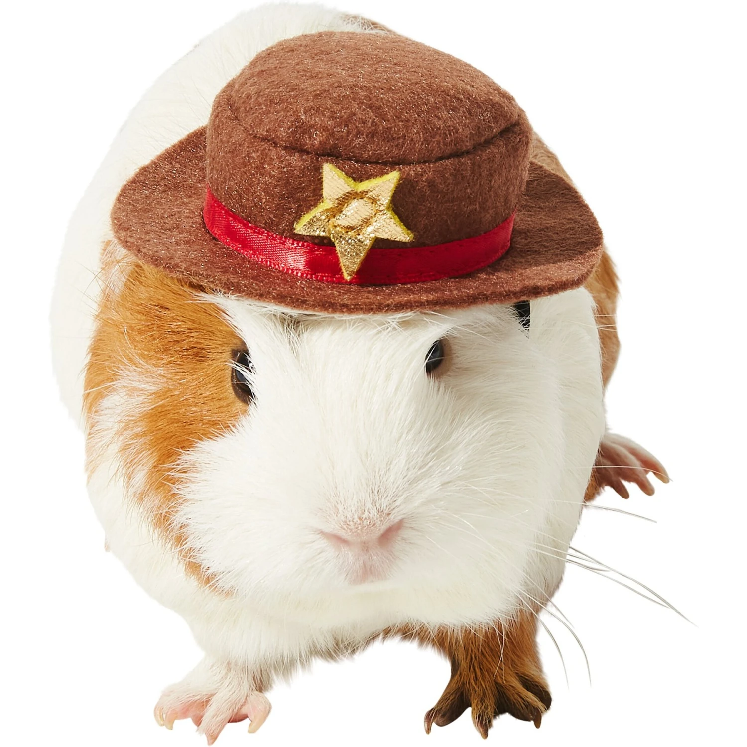 Frisco Cowboy Guinea Pig Costume Hat, One Size 1 Frisco Cowboy Guinea Pig Costume Hat, One Size