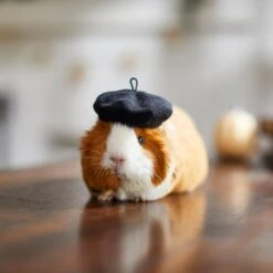 Frisco French Beret Guinea Pig Costume Hat, One Size 7 Frisco French Beret Guinea Pig Costume Hat, One Size -Frisco Sales Store 265891 PT8. AC SS1800 V1624337078