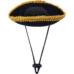 Frisco Serape Guinea Pig Costume, One Size -Frisco Sales Store 265895 PT6. AC SS1800 V1624336685