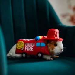 Frisco Firetruck Guinea Pig Costume, One Size 11 Frisco Firetruck Guinea Pig Costume, One Size -Frisco Sales Store 265899 PT8. AC SS1800 V1624338506