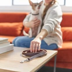 Frisco Top Grain Leather Leash -Frisco Sales Store 266521 PT3. AC SS1800 V1619536628