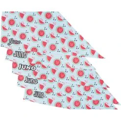 Frisco Watermelons Personalized Dog & Cat Bandana 13 Frisco Watermelons Personalized Dog & Cat Bandana -Frisco Sales Store 267458 PT4. AC SS1800 V1632428809