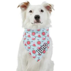 Frisco Watermelons Personalized Dog & Cat Bandana 15 Frisco Watermelons Personalized Dog & Cat Bandana -Frisco Sales Store 267458 PT6. AC SS1800 V1632432415