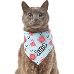 Frisco Watermelons Personalized Dog & Cat Bandana 16 Frisco Watermelons Personalized Dog & Cat Bandana -Frisco Sales Store 267458 PT7. AC SS1800 V1632432684