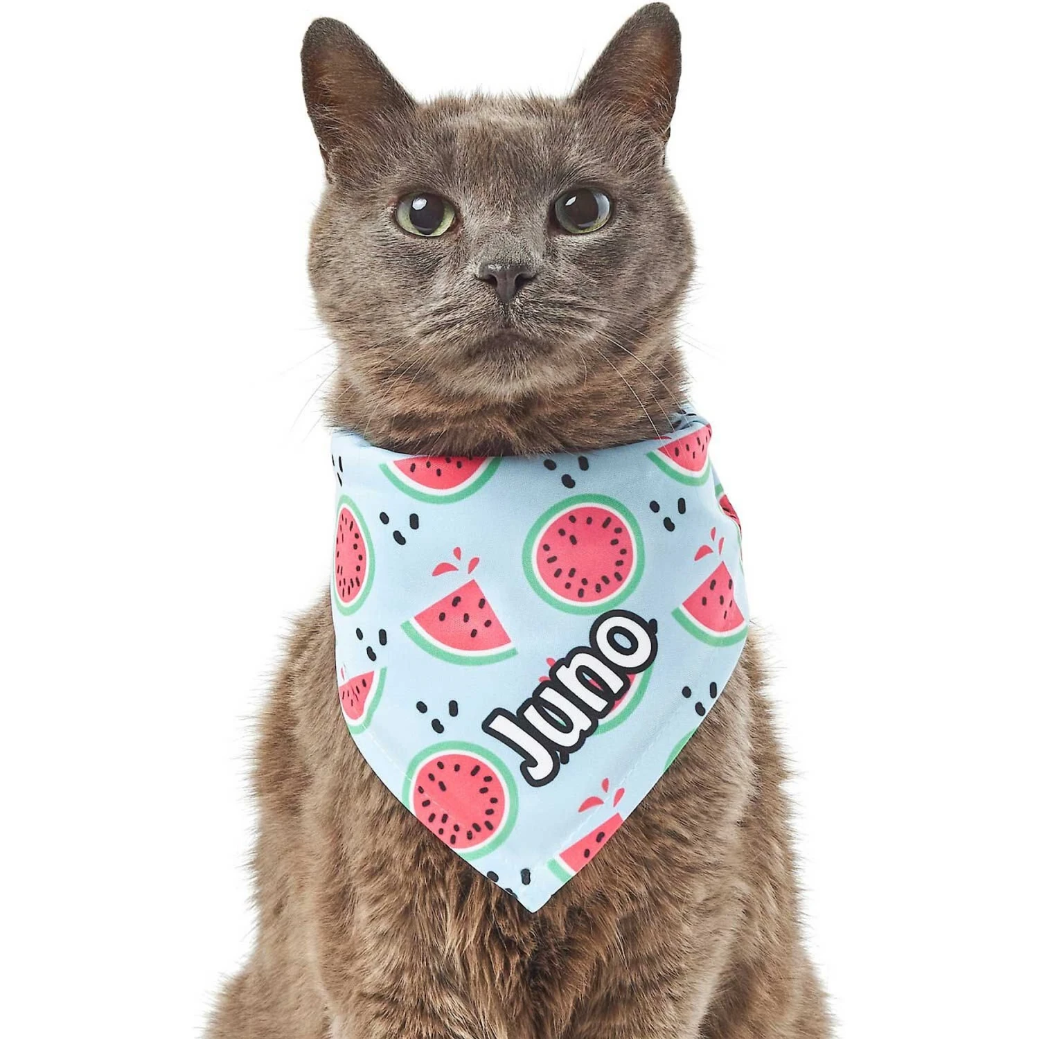 Frisco Watermelons Personalized Dog & Cat Bandana 8 Frisco Watermelons Personalized Dog & Cat Bandana - Image 8