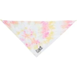 Frisco Tiedye Personalized Dog & Cat Bandana -Frisco Sales Store 267482 PT2. AC SS1800 V1632688902