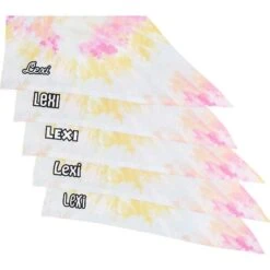 Frisco Tiedye Personalized Dog & Cat Bandana -Frisco Sales Store 267482 PT4. AC SS1800 V1632416499