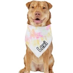 Frisco Tiedye Personalized Dog & Cat Bandana -Frisco Sales Store 267482 PT6. AC SS1800 V1632428490
