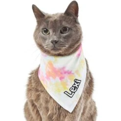 Frisco Tiedye Personalized Dog & Cat Bandana -Frisco Sales Store 267482 PT7. AC SS1800 V1632420107