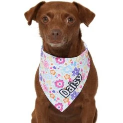 Frisco Bright Floral Personalized Dog & Cat Bandana 14 Frisco Bright Floral Personalized Dog & Cat Bandana -Frisco Sales Store 267535 PT7. AC SS1800 V1623164573