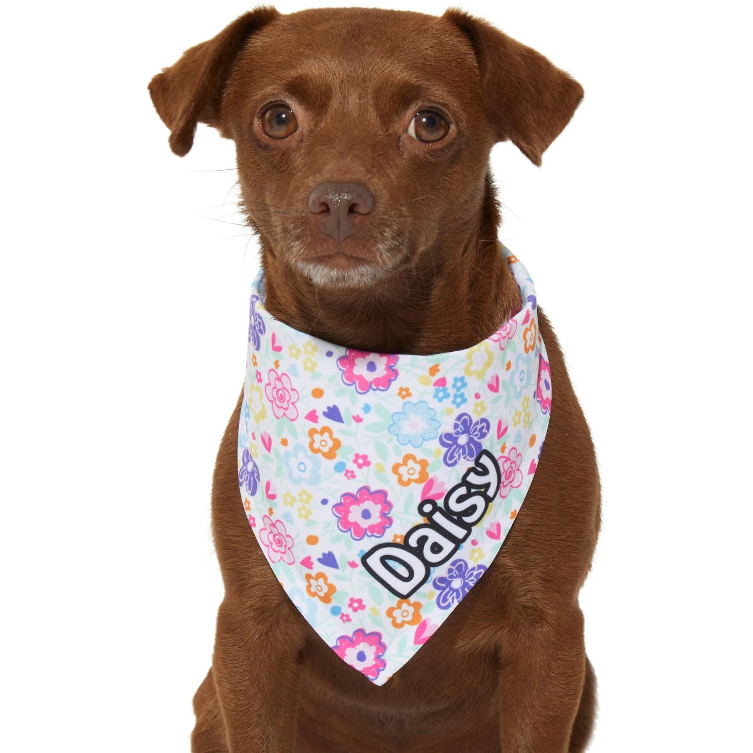 Frisco Bright Floral Personalized Dog & Cat Bandana 7 Frisco Bright Floral Personalized Dog & Cat Bandana - Image 7