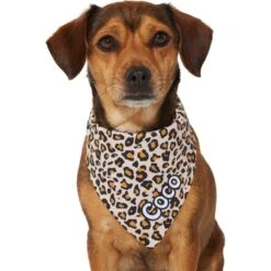 Frisco Leopard Print Personalized Dog & Cat Bandana 14 Frisco Leopard Print Personalized Dog & Cat Bandana -Frisco Sales Store 267543 PT7. AC SS1800 V1623164552