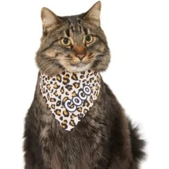 Frisco Leopard Print Personalized Dog & Cat Bandana 15 Frisco Leopard Print Personalized Dog & Cat Bandana -Frisco Sales Store 267543 PT8. AC SS1800 V1623164342