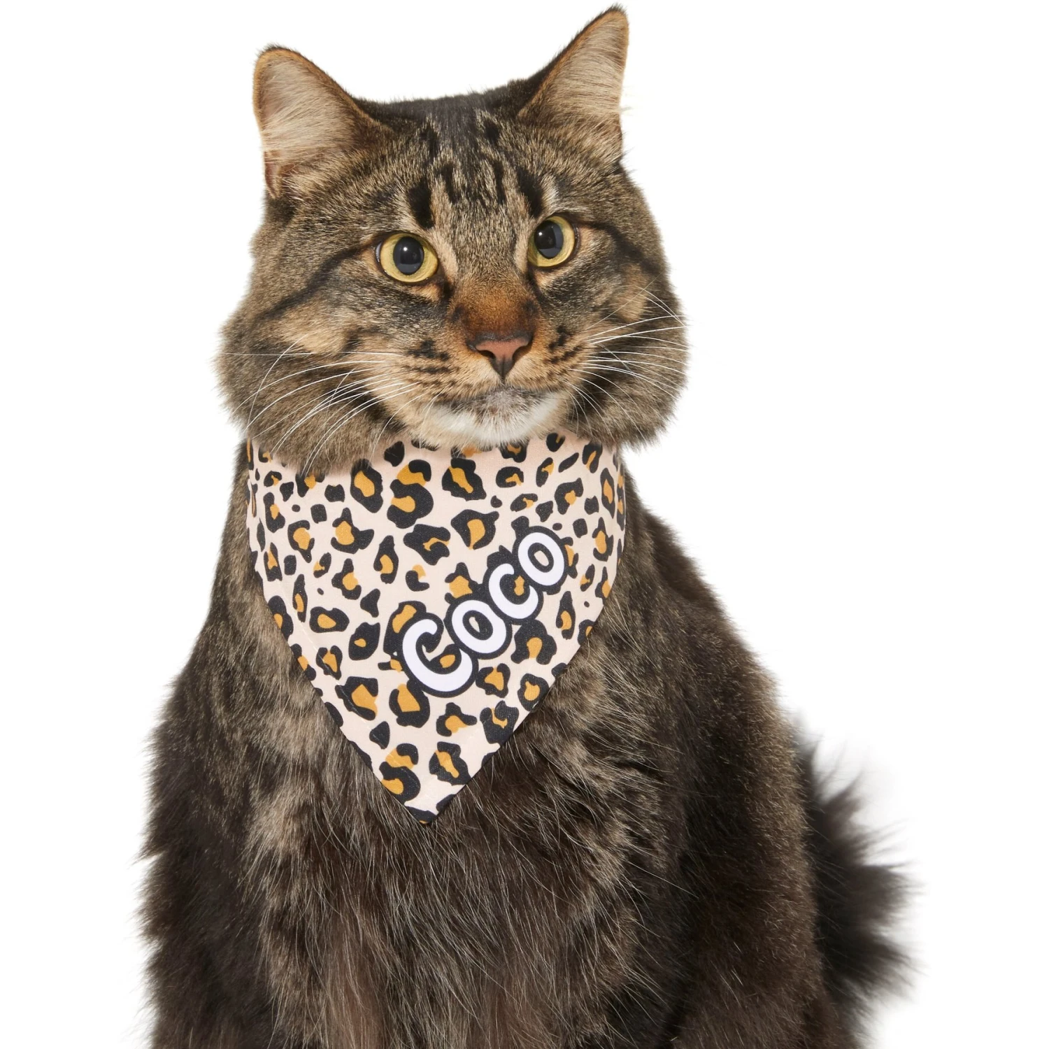 Frisco Leopard Print Personalized Dog & Cat Bandana 8 Frisco Leopard Print Personalized Dog & Cat Bandana - Image 8