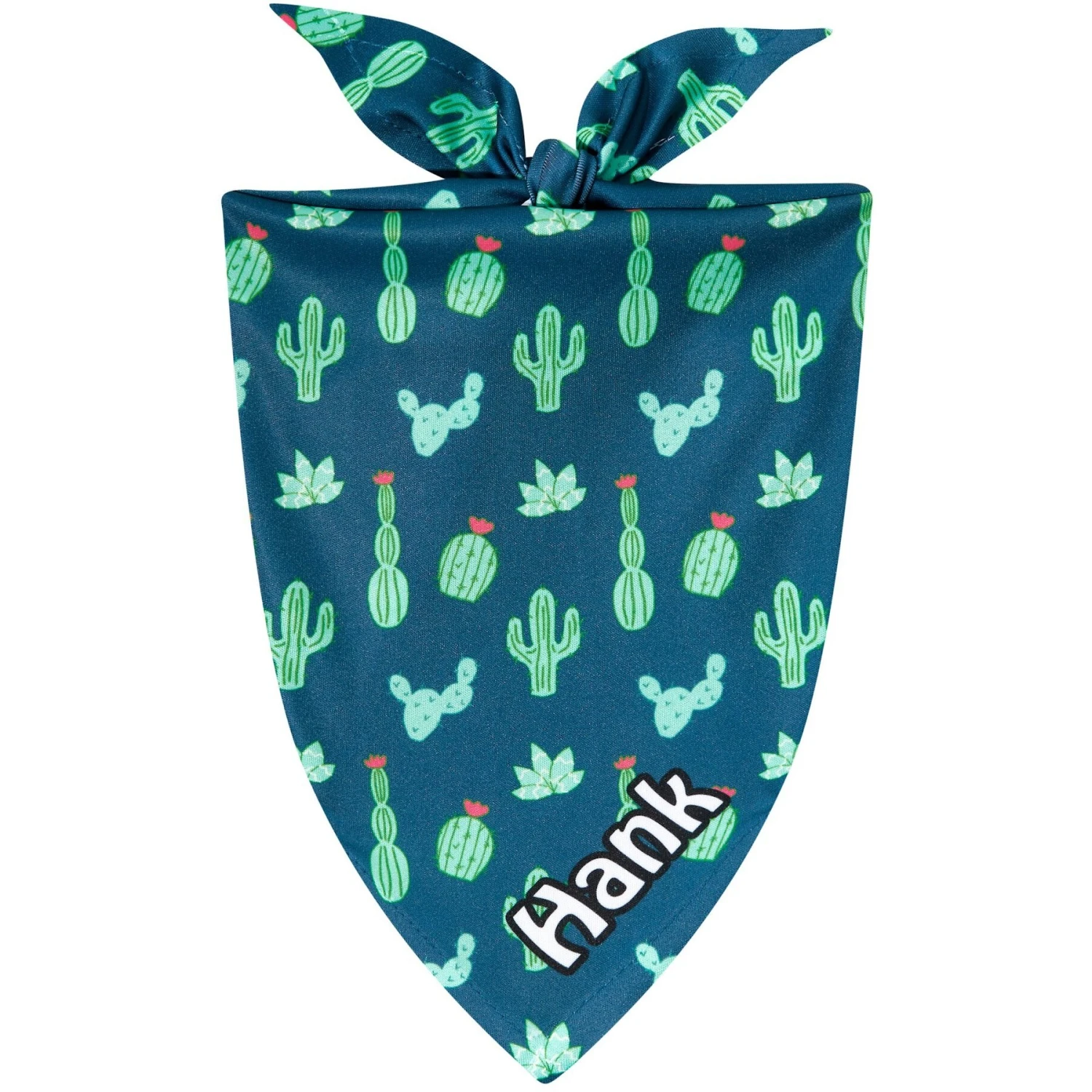 Frisco Cactus Personalized Dog & Cat Bandana 1 Frisco Cactus Personalized Dog & Cat Bandana