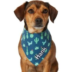 Frisco Cactus Personalized Dog & Cat Bandana 14 Frisco Cactus Personalized Dog & Cat Bandana -Frisco Sales Store 267551 PT7. AC SS1800 V1623164614