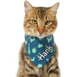 Frisco Cactus Personalized Dog & Cat Bandana 15 Frisco Cactus Personalized Dog & Cat Bandana -Frisco Sales Store 267551 PT8. AC SS1800 V1623164657