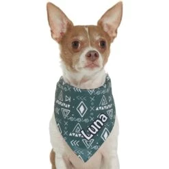 Frisco Boho Geo Personalized Dog & Cat Bandana 14 Frisco Boho Geo Personalized Dog & Cat Bandana -Frisco Sales Store 267559 PT7. AC SS1800 V1623164863