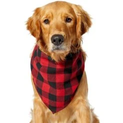 Red Buffalo Plaid Dog & Cat Bandana 10 Red Buffalo Plaid Dog & Cat Bandana -Frisco Sales Store 267899 PT2. AC SS1800 V1637649415