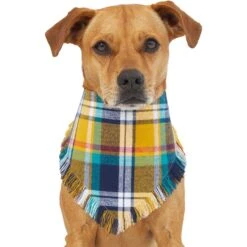 Frisco Blue/Yellow Plaid Dog & Cat Flannel Bandana 10 Frisco Blue/Yellow Plaid Dog & Cat Flannel Bandana -Frisco Sales Store 267901 PT2. AC SS1800 V1637717796