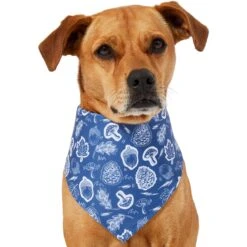 Frisco Fall Vibes Dog & Cat Bandana -Frisco Sales Store 267913 PT2. AC SS1800 V1637722647