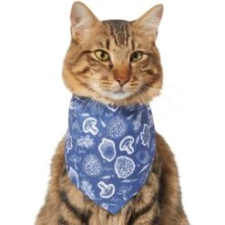 Frisco Fall Vibes Dog & Cat Bandana -Frisco Sales Store 267913 PT3. AC SS1800 V1637729806
