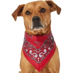 Frisco Red Paisley Dog & Cat Bandana 10 Frisco Red Paisley Dog & Cat Bandana -Frisco Sales Store 267919 PT2. AC SS1800 V1637669854