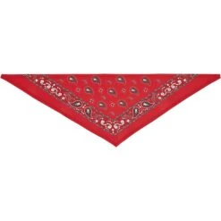Frisco Red Paisley Dog & Cat Bandana 12 Frisco Red Paisley Dog & Cat Bandana -Frisco Sales Store 267919 PT4. AC SS1800 V1637674037