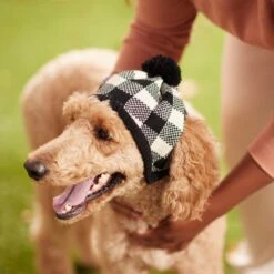 Frisco Plaid Dog & Cat Knitted Hat -Frisco Sales Store 267925 PT8. AC SS1800 V1629755603