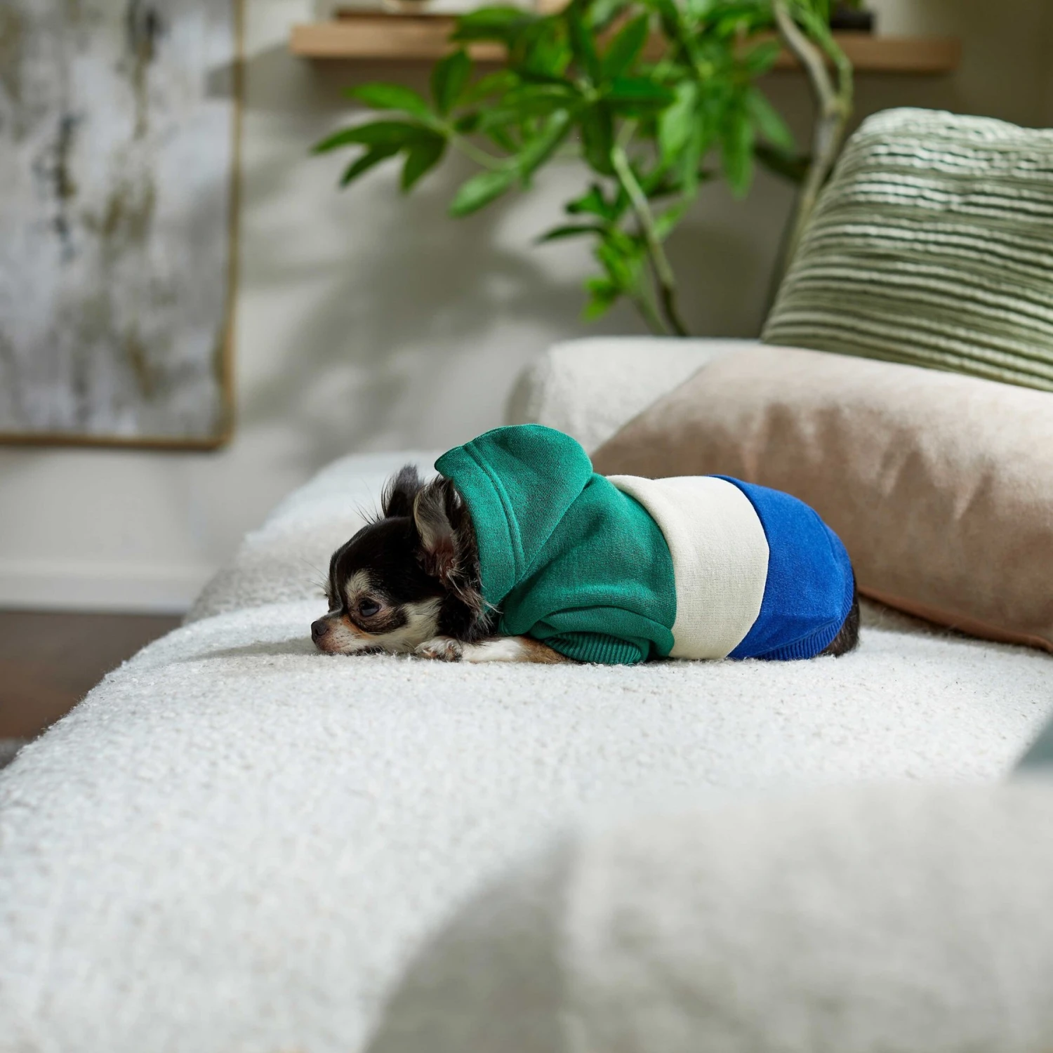 Frisco Colorblock Dog & Cat Hoodie With Sleeves 7 Frisco Colorblock Dog & Cat Hoodie With Sleeves - Image 7