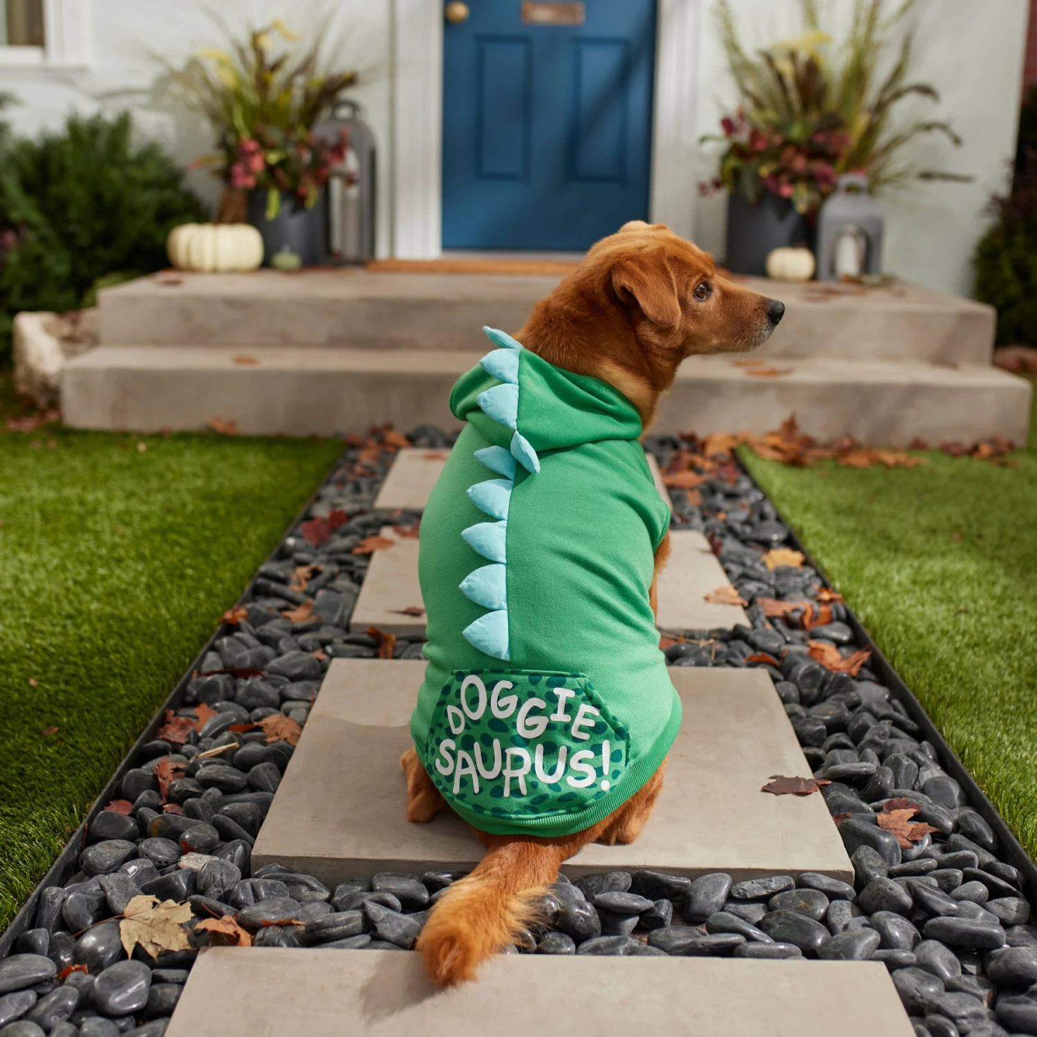 Frisco Doggiesaurus Dog & Cat Hoodie, Green 8 Frisco Doggiesaurus Dog & Cat Hoodie, Green - Image 8