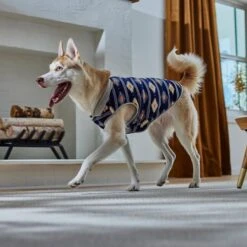 Frisco Lightweight Southwest Dog & Cat Polar Fleece Vest -Frisco Sales Store 268167 PT8. AC SS1800 V1629756292