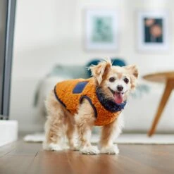 Frisco Lightweight Colorblock Dog & Cat Zippered Sherpa Fleece Vest, Blue/Brown -Frisco Sales Store 268191 PT8. AC SS1800 V1629759209