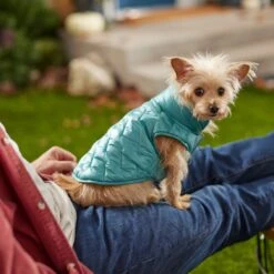 Frisco Lightweight Packable Insulated Dog & Cat Quilted Puffer Coat, Ocean Teal -Frisco Sales Store 268280 PT8. AC SS1800 V1629836601