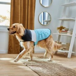 Frisco Mediumweight Colorblock Insulated Dog & Cat Puffer Coat With Pocket, Blue 13 Frisco Mediumweight Colorblock Insulated Dog & Cat Puffer Coat With Pocket, Blue -Frisco Sales Store 268311 PT8. AC SS1800 V1629766581