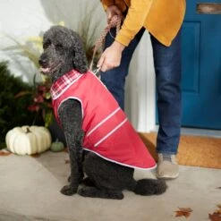Frisco Mediumweight Reflective Water-Resistant Insulated Dog & Cat Coat 13 Frisco Mediumweight Reflective Water-Resistant Insulated Dog & Cat Coat -Frisco Sales Store 268342 PT8. AC SS1800 V1629764397