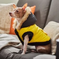 Frisco Heavyweight Anchorage Insulated Dog & Cat Parka, Yellow/Black -Frisco Sales Store 268397 PT8. AC SS1800 V1629761431