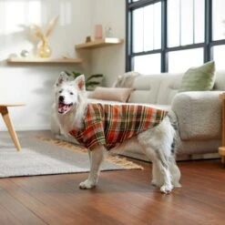 Frisco Orange & Olive Plaid Dog & Cat Flannel Shirt -Frisco Sales Store 268612 PT8. AC SS1800 V1629759992