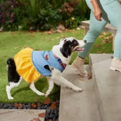 Frisco Chambray Plaid Dog & Cat Dress -Frisco Sales Store 268637 PT8. AC SS1800 V1629757964